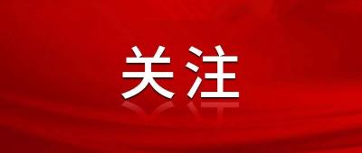 湖北整治校外培训违规广告 将查处曝光一批典型案件