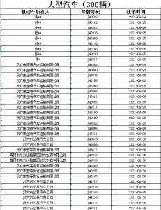 关于武穴市近期被注销重点车辆的公示