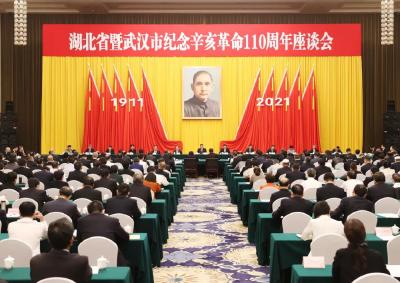 湖北省暨武汉市纪念辛亥革命110周年座谈会举行