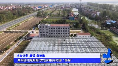 黄州区叶路洲现代农业科技示范园“亮相”