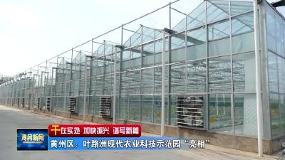 黄州区：叶路洲现代农业科技示范园“亮相”