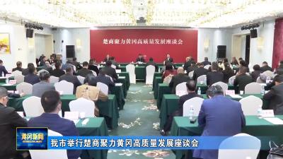 我市举行楚商聚力黄冈高质量发展座谈会