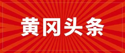 杨云彦来我市调研常态化疫情防控工作