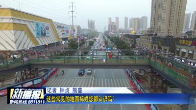这些常见的地面标线您都认识吗？