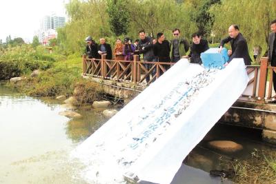 50万尾鱼苗游进黄柏河