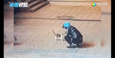 开除，永不录用