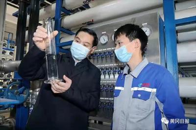 视频 | 张家胜调研黄冈晨鸣项目建设和武汉城市圈同城化政务服务通办情况