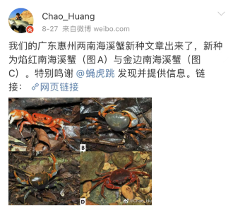 90后博士发现新物种！以这个城市命名