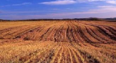 内蒙古农作物良种覆盖率超过98%