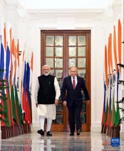 印俄领导人在新德里举行会晤