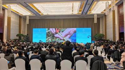 2021中非创新合作大会在武汉开幕