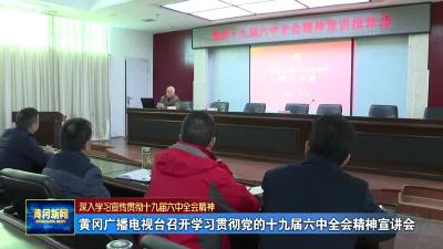 黄冈广播电视台召开学习贯彻党的十九届六中全会精神宣讲会