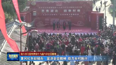 黄冈红色轻骑兵：宣讲全会精神 助力乡村振兴