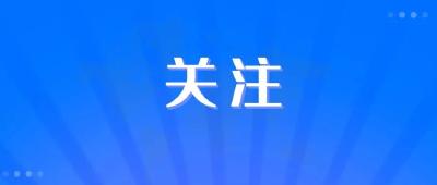 不符合条件也能取公积金？——起底骗提套取公积金“黑色链条”