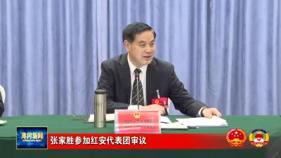 张家胜参加红安代表团审议