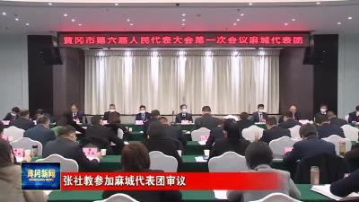 张社教参加麻城团代表团审议