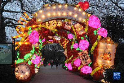 比利时：“中国花灯”携手“欧洲童话”