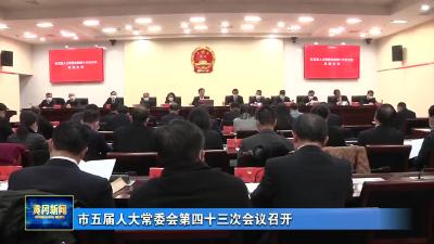 市五届人大常委会第四十三次会议召开