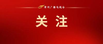 黄冈市监察委员会主任、市中级人民法院院长、市人民检察院检察长选举产生