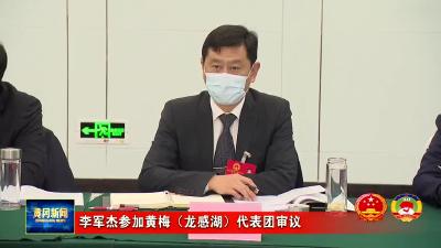 李军杰参加黄梅（龙感湖）代表团审议