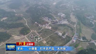 罗田：“小屏幕”打开农产品“大市场”