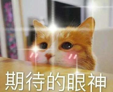 追光|看冬奥会支持中国健儿 你总得xiáo几句“官方语言”