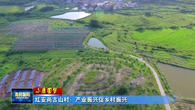 红安尚古山村：产业振兴促乡村振兴