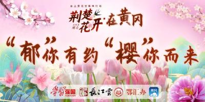 荆楚花开 / “郁”你有约   “樱”你而来 