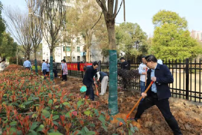 黄冈市林业局开展“为市域添彩 助主城崛起”义务植树活动