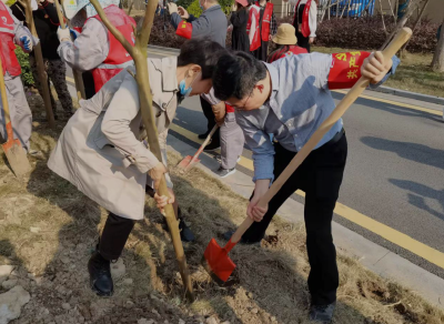 黄州遗爱湖社区：邻里共植树 小区添新绿