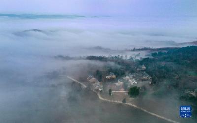 秦岭小山村有“三宝”