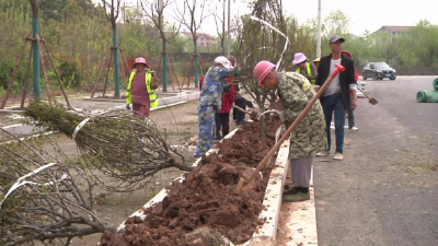 增植复绿，让城市更“氧人”