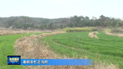 春耕农忙正当时