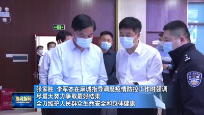 张家胜 李军杰在麻城指导调度疫情防控工作时强调