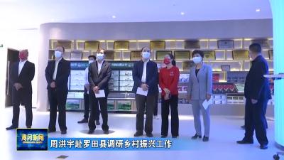 周洪宇赴罗田县调研乡村振兴工作