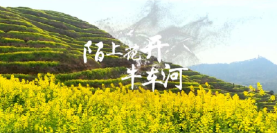 陌上花开牛车河