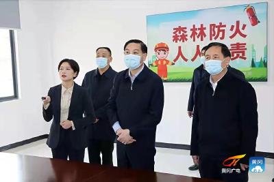 视频 | 张家胜检查督导常态化疫情防控和安全生产森林防火等工作