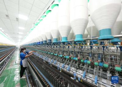 河北晋州：打造纺织产业集群助推经济发展