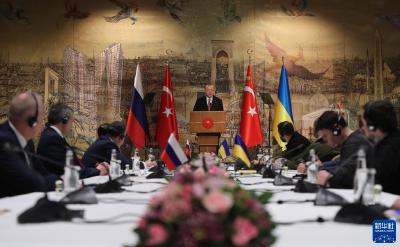 俄乌代表团在伊斯坦布尔开始新一轮谈判
