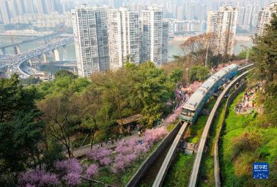 新华全媒+丨在城市，诗意栖居