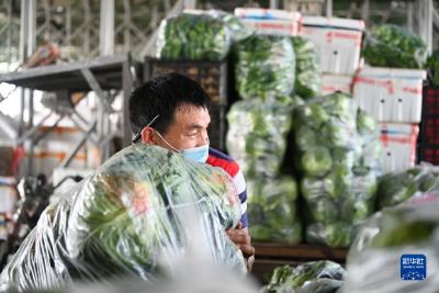 福建晋江：全力保供应 拎稳“菜篮子”