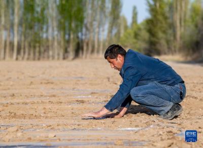 新华全媒+丨新疆棉农伊力·买买提的春播季