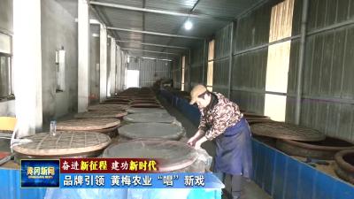 《奋进新征程 建功新时代》品牌引领 黄梅农业“唱”新戏