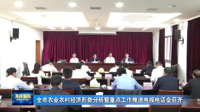 全市农业农村经济形势分析暨重点工作推进电视电话会召开