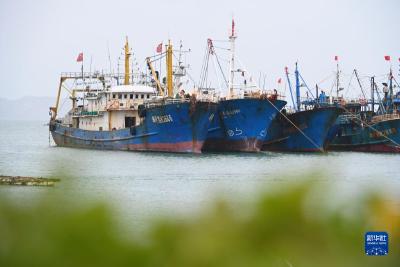 福建万余艘渔船进入海洋伏季休渔期