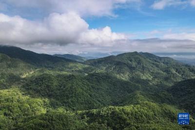 天空之眼瞰五指山