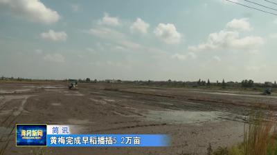 黄梅完成早稻播插5.2万亩
