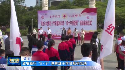 红安举行“5.8”世界红十字日系列活动