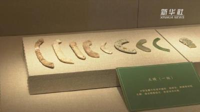 距今约6500年历史的三星村遗址考古勘探工作近期再次启动