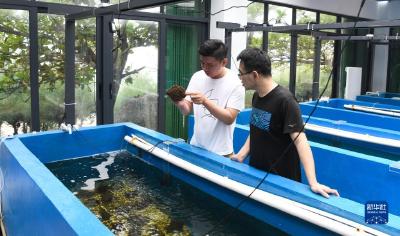 守护珊瑚海